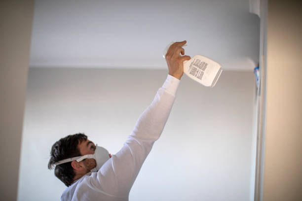 Best Home Mold Removal  in Gaffney, SC