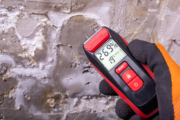 Best Toxic Mold Removal  in Gaffney, SC