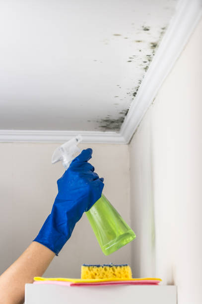 Best Certified Mold Removal  in Gaffney, SC